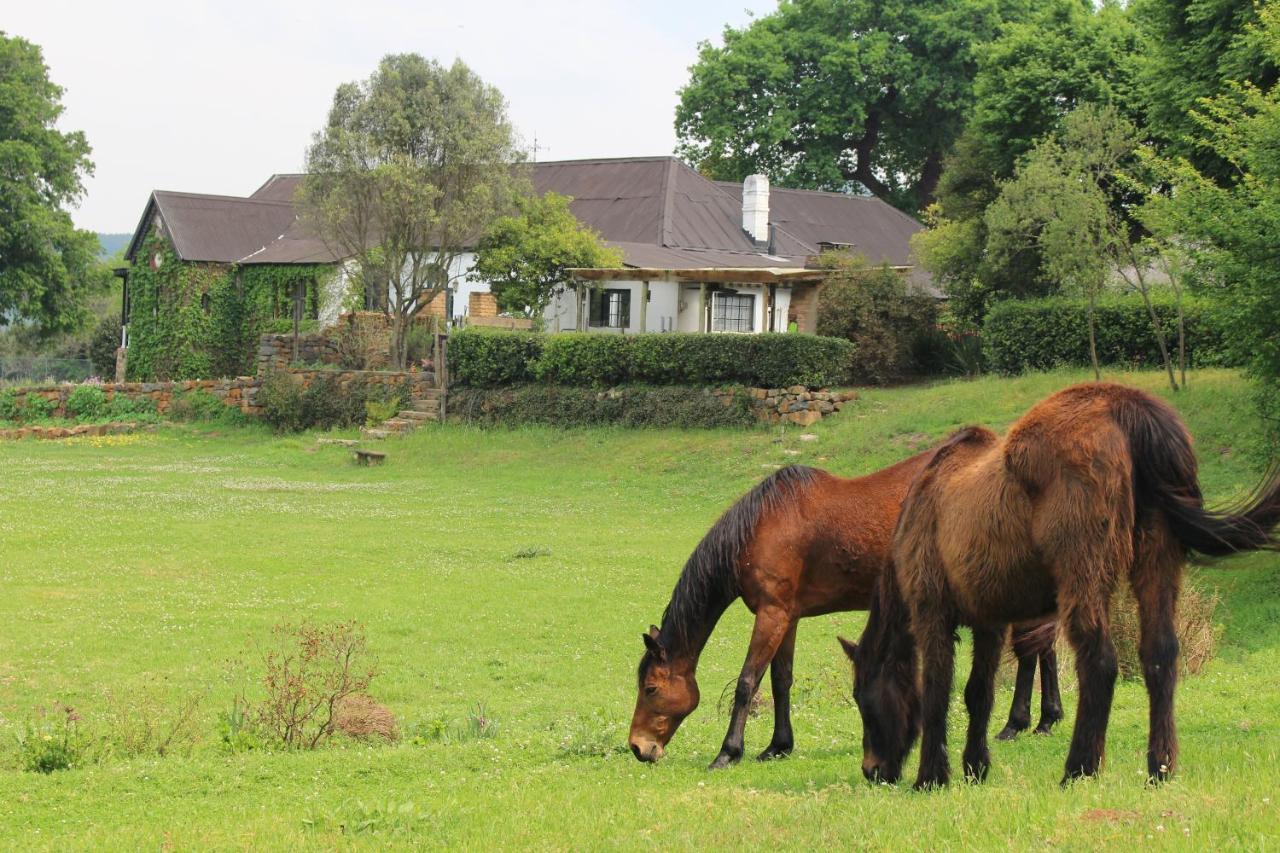 Newstead Farm - Country Cottages Curry's Post Екстер'єр фото