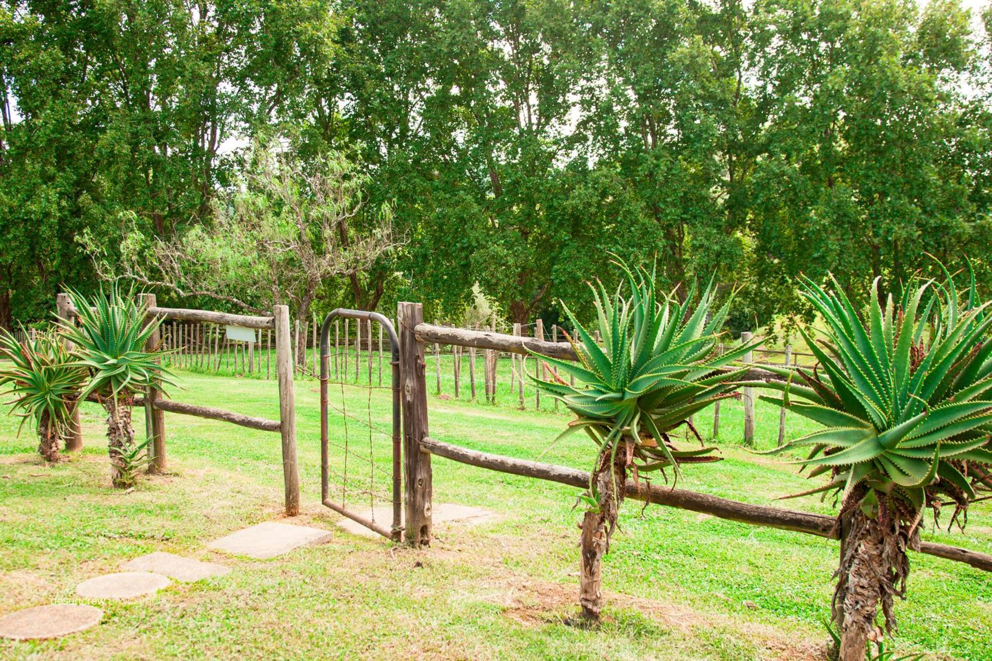 Newstead Farm - Country Cottages Curry's Post Екстер'єр фото
