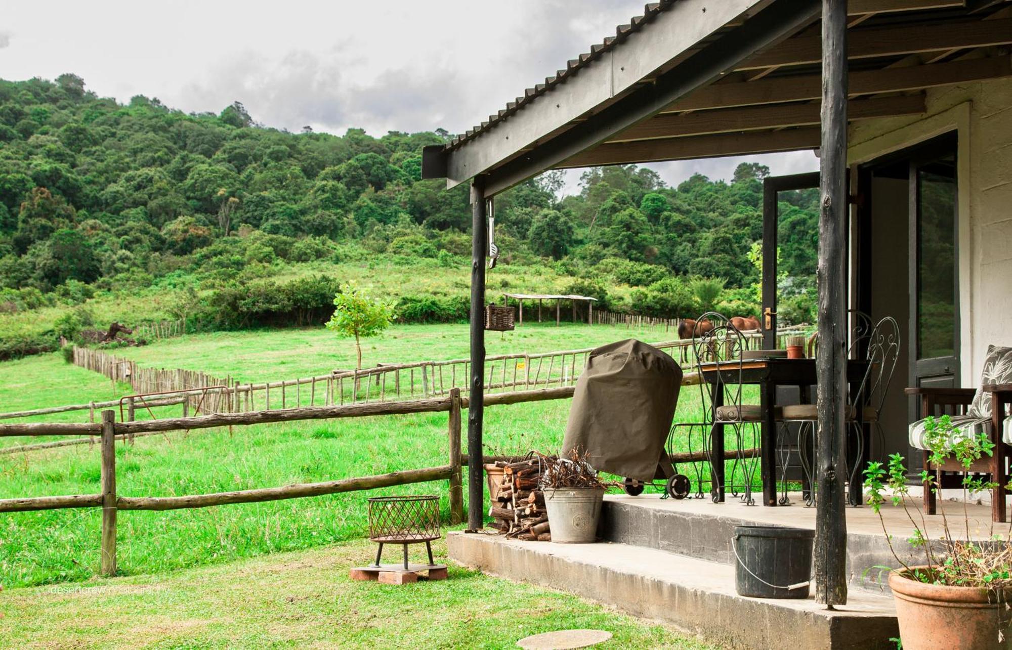 Newstead Farm - Country Cottages Curry's Post Екстер'єр фото