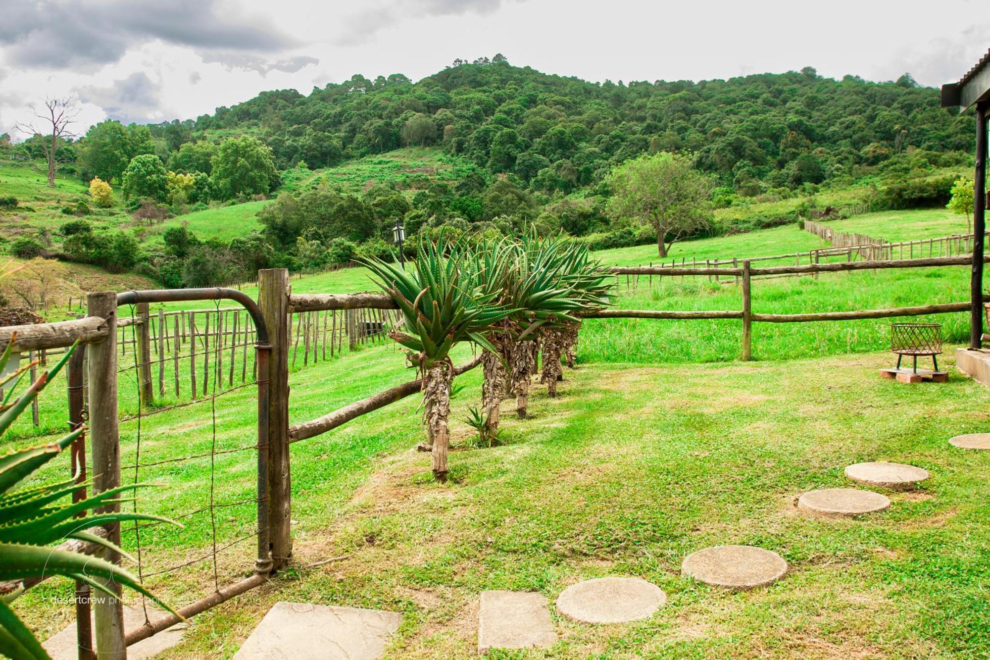 Newstead Farm - Country Cottages Curry's Post Екстер'єр фото