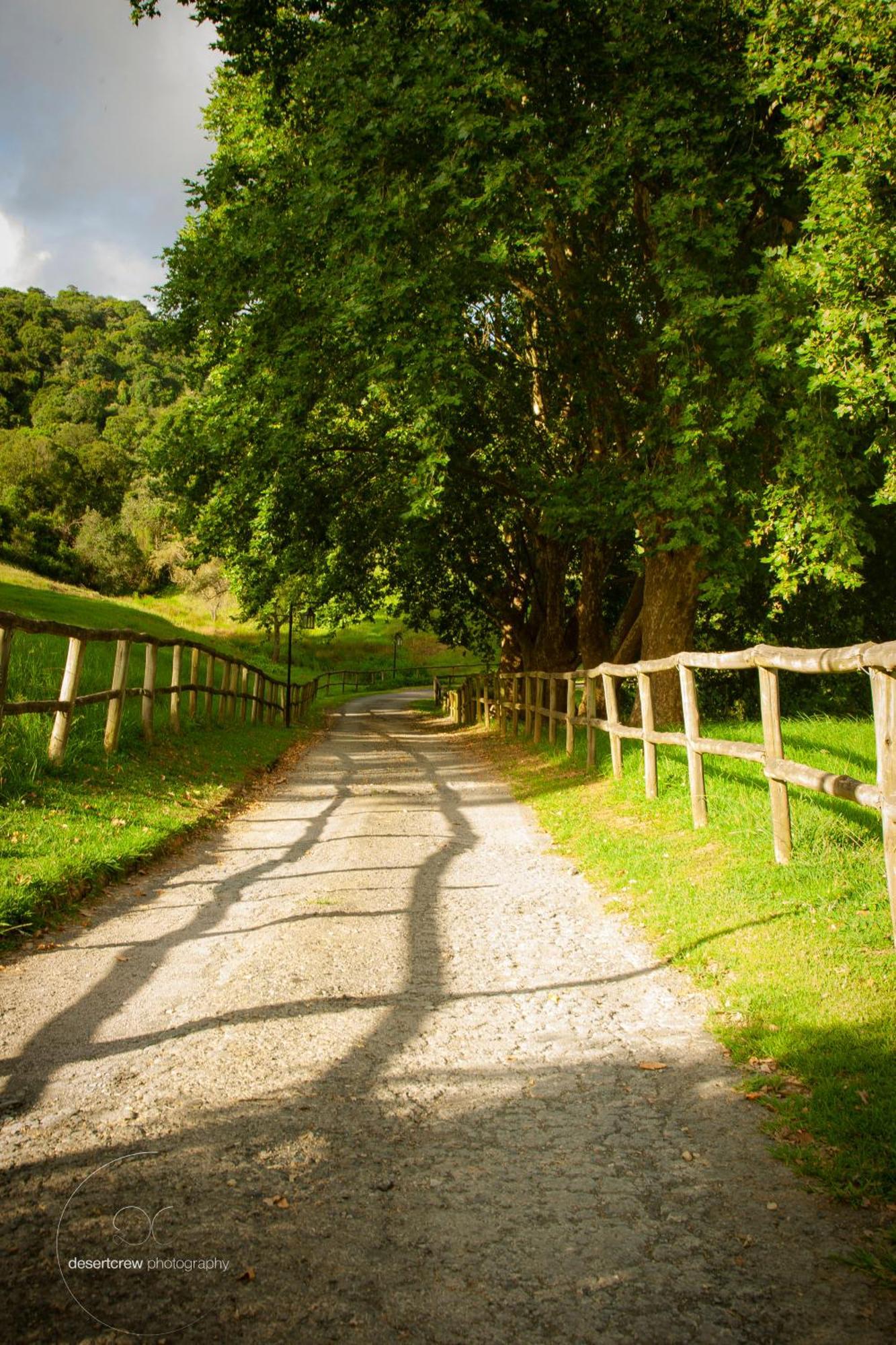 Newstead Farm - Country Cottages Curry's Post Екстер'єр фото