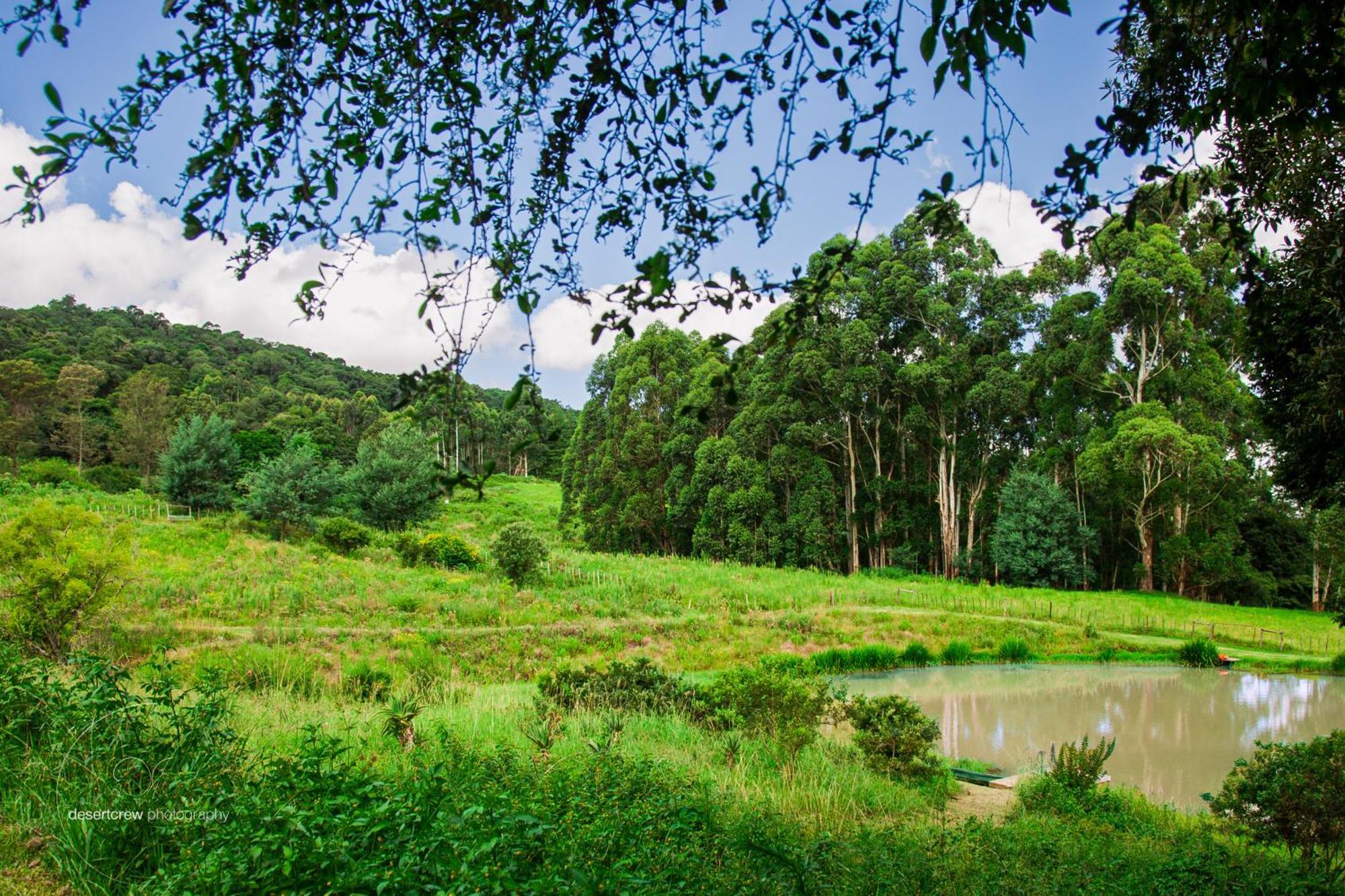 Newstead Farm - Country Cottages Curry's Post Екстер'єр фото