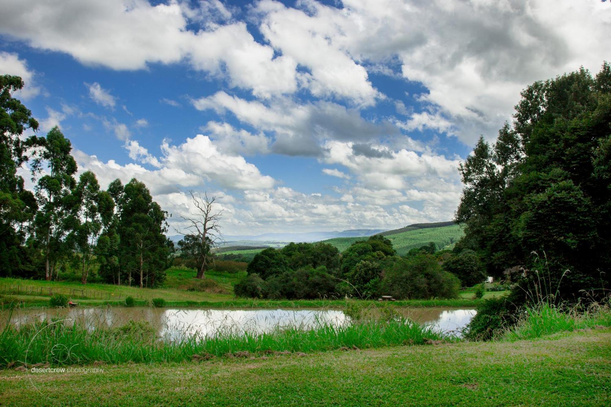 Newstead Farm - Country Cottages Curry's Post Екстер'єр фото